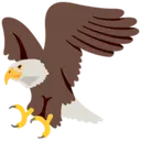 :googleeagle