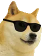 :cool_doggo