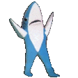 :sharkdance