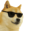 :doge