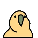 :middleparrot