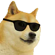 :cool_doggo