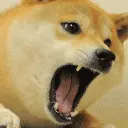 :angry_shibe