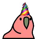 :birthday_party_parrot