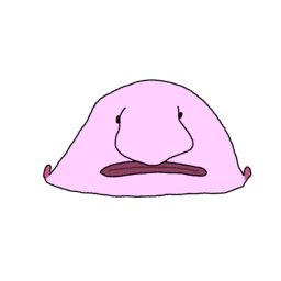 :blobfish