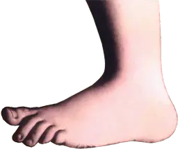 :barefoot