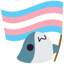 :bhjflag_transgender