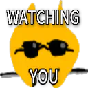 :strangecat_watchingyou