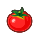 :aci_tomato