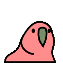 :slowparrot