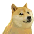 :rare_doge