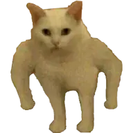 :buffcat