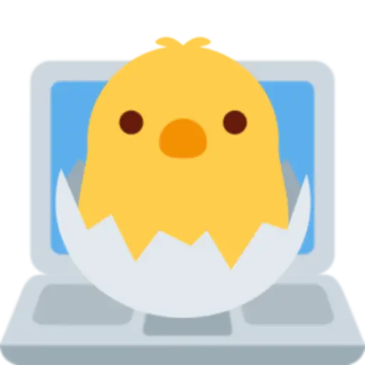 :chick_on_laptop