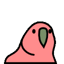 :confusedparrot