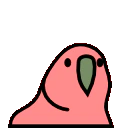 :confusedparrot