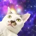 :toto_spacecat