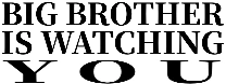 :bigbrother_iswatching_you