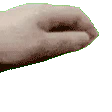 :petpet_hand