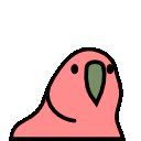 :60fps_parrot