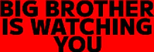 :big_brother_is_watching_you