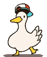 :duckdance