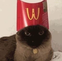 :catmcfries