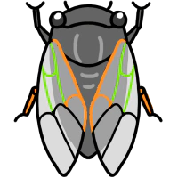 :cicada_01