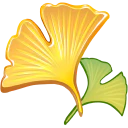 :ginkgo