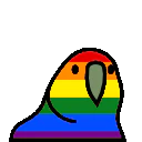 :pride_flag_parrot