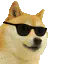 :cool_doge