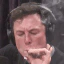 :elonweed