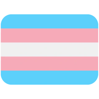 :trans_flag