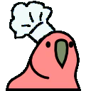 :chef_parrot