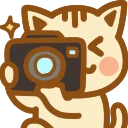 :neko_camera_nya