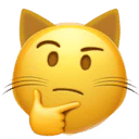 :thinking_cat_face