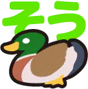 :soukamo_duck