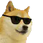 :doge_a