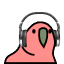 :headsetparrot