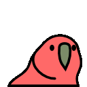 :parrot_8beat