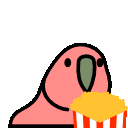 :popcornparrot