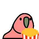 :popcornparrot