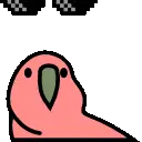 :parrot_dealwithit