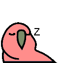 :sleepingparrot