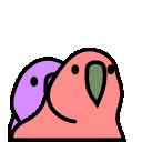 :parrot_twin