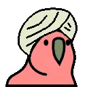 :parrot_turban_tan