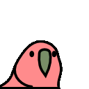 :stableparrot