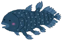 :coelacanth