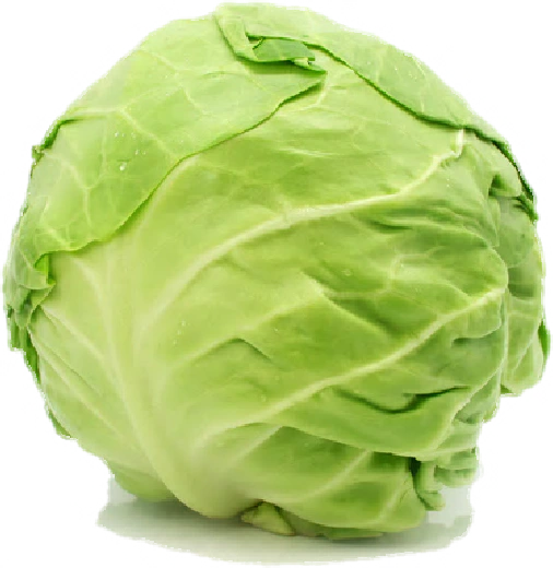 :real_cabbage1