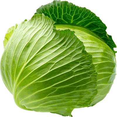 :real_cabbage2: