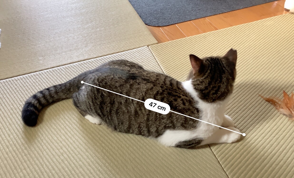 振り向いてズレた